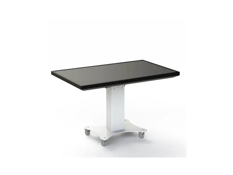 Loxit 8509 Mono Flip Top® Touch Screen Trolley