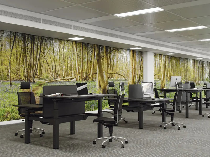 AllSfär Öra Mural Printed Acoustic Wall Coverings