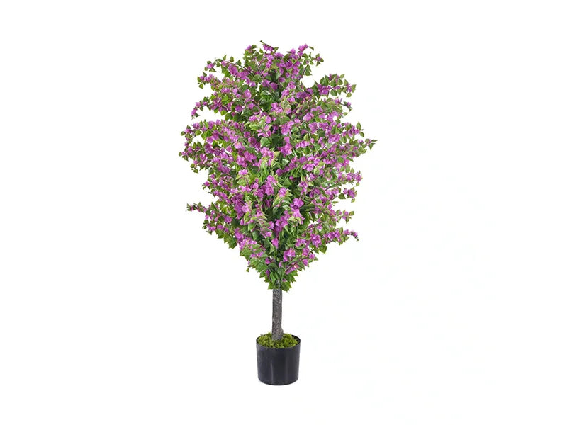 Vistafolia® Amalfi Bloom Bougainvillea
