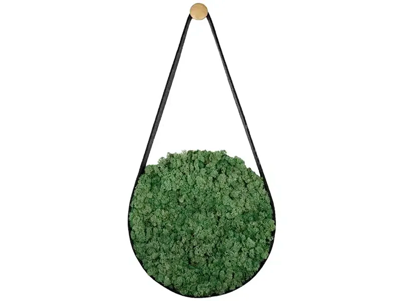 Greenmood Belt Acoustic Panels
