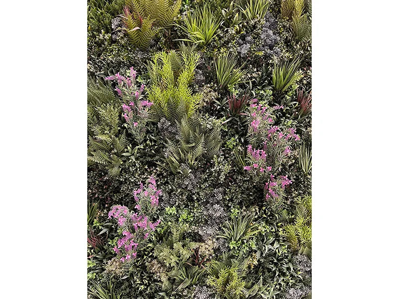 Vistafolia® Pink French Lavender Colour Box