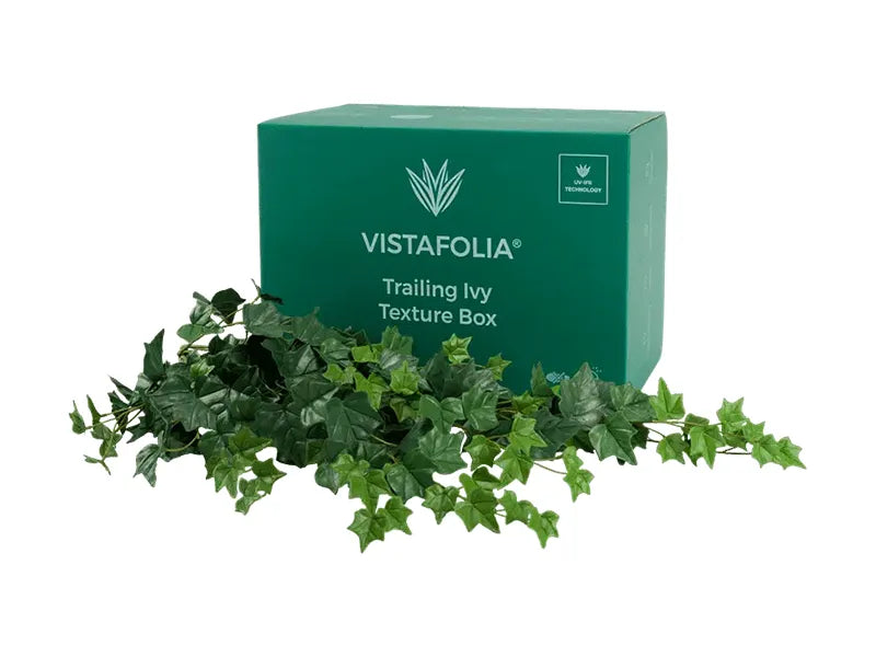 Vistafolia® Trailing Ivy Texture Box