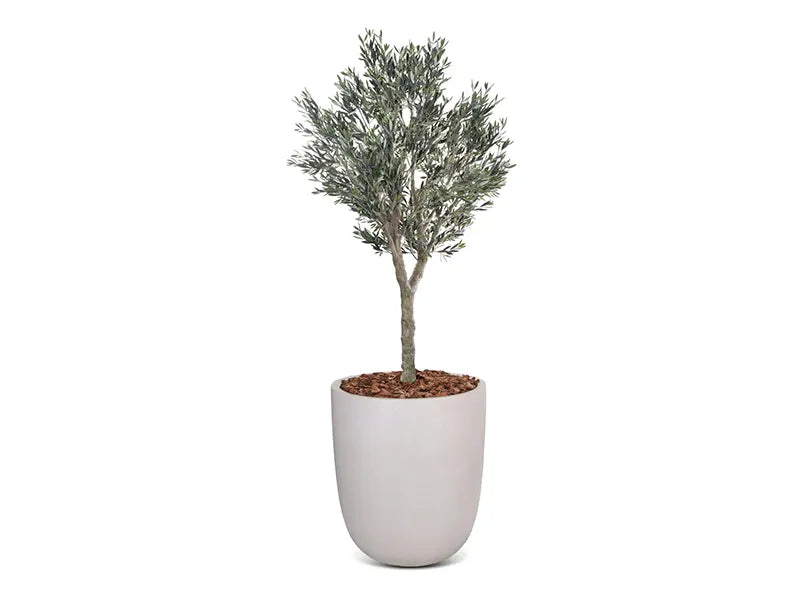 Vistafolia® Cielo Verdi Artificial Olive Tree