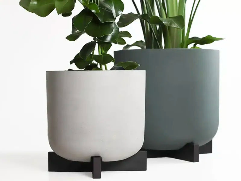 Greenmood Cruz Fiber Resin Planter