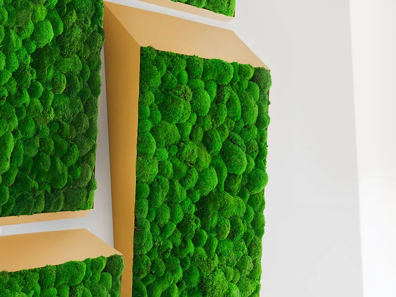 Greenmood Perspective Lines Acoustic Wall Fixtures