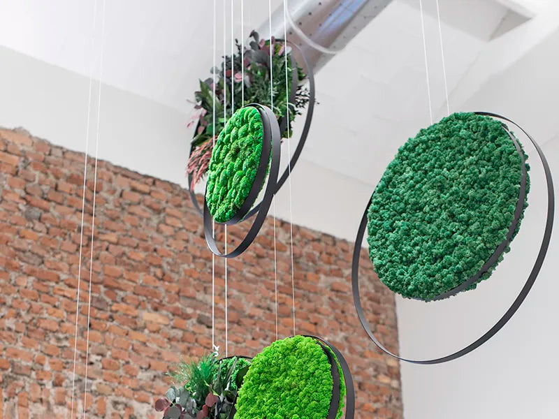 Greenmood Ring Suspended Acoustic Panels