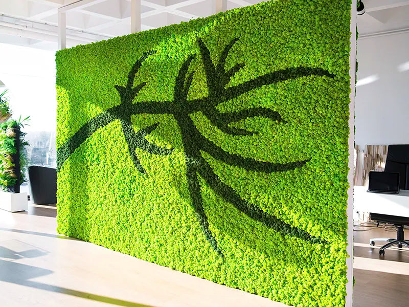 Greenmood Reindeer Moss (Lichen) Green Wall