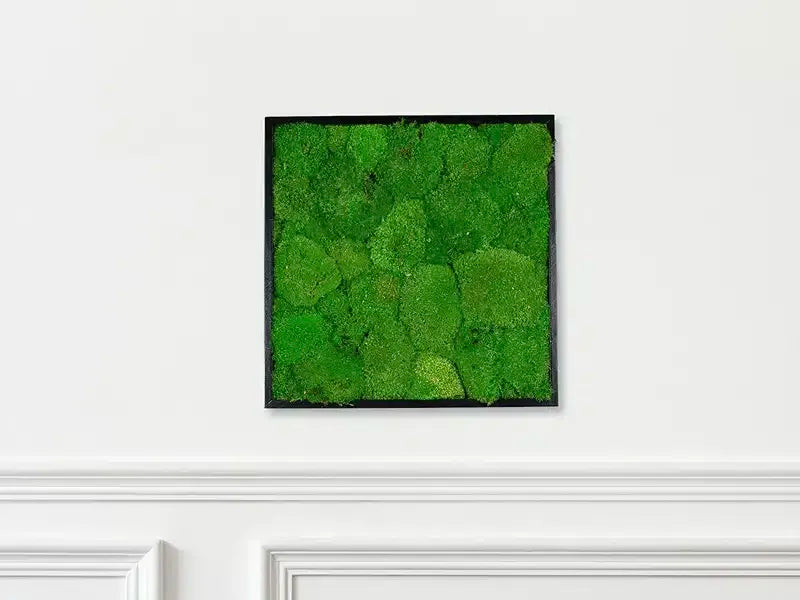 Greenmood Standard Moss Frame