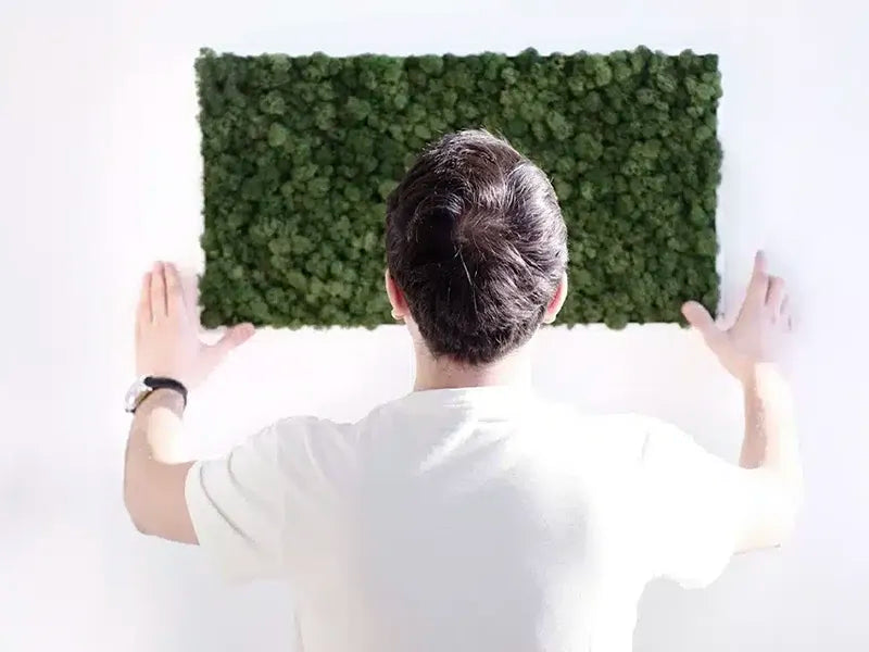 Greenmood Standard Moss Frame