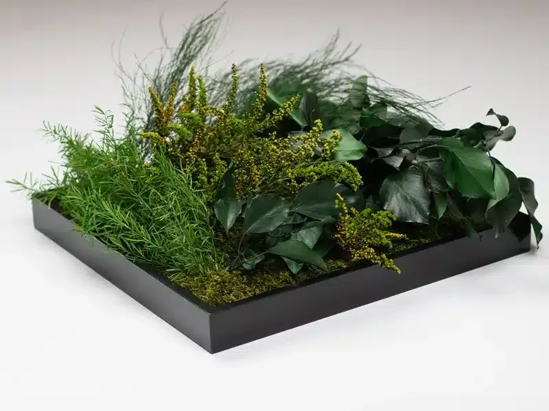 Greenmood Standard Moss Frame