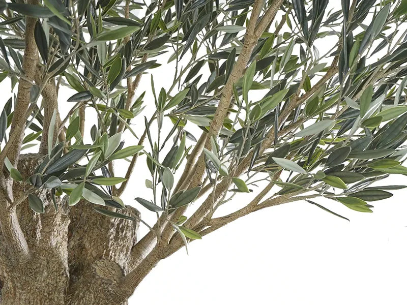 Vistafolia® Olea Bella Artificial Mature Olive Tree
