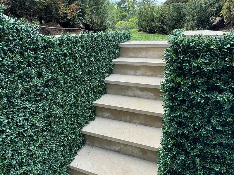 Vistafolia® Luxury Boxwood Artificial Green Wall Panels