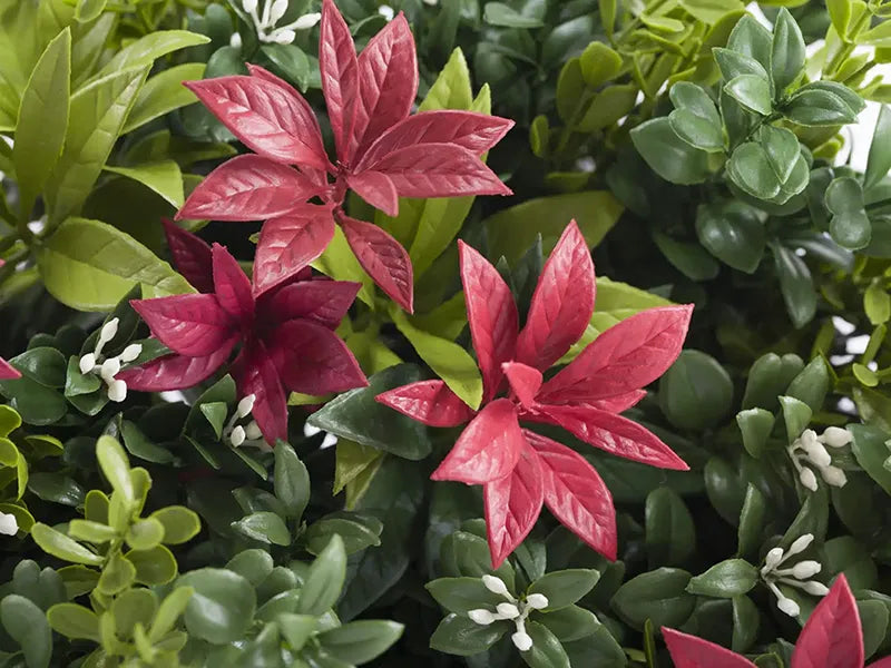 Vistafolia® Forest Flame Colour Box