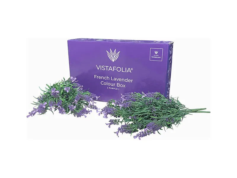 Vistafolia® Purple French Lavender Colour Box