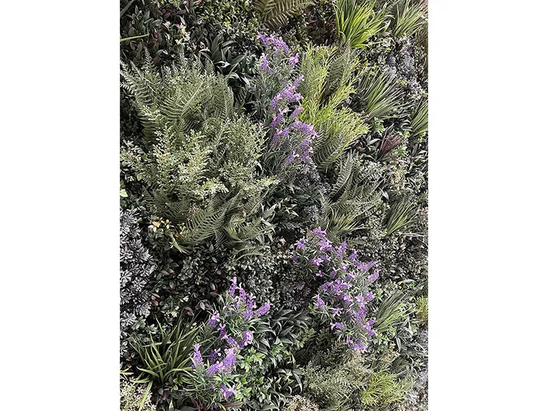 Vistafolia® Purple French Lavender Colour Box