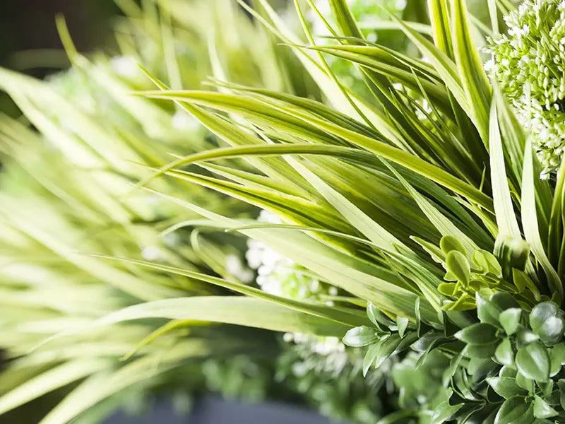 Vistafolia® Large Grasses Texture Box