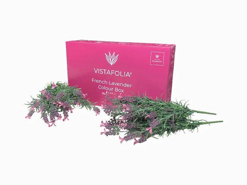 Vistafolia® Pink French Lavender Colour Box