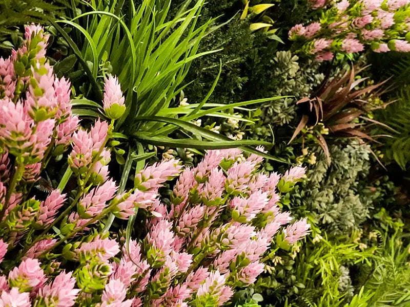 Vistafolia® Spring Pink Colour Box