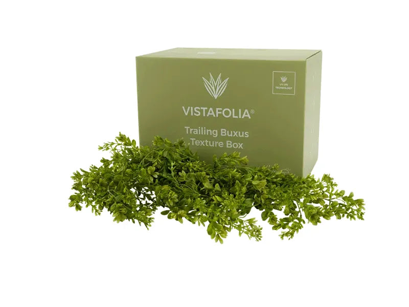 Vistafolia® Trailing Buxus Texture Box