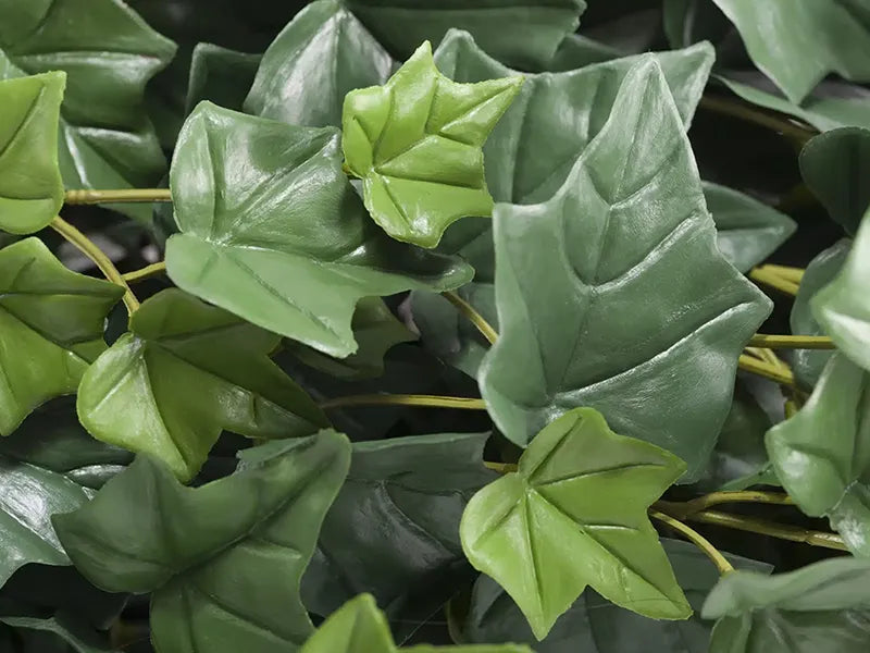 Vistafolia® Trailing Ivy Texture Box