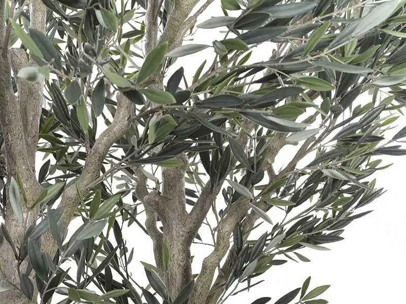 Vistafolia® Cielo Verdi Artificial Olive Tree