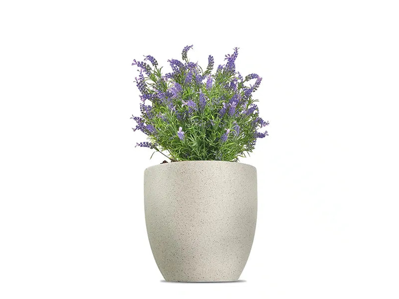 Vistafolia® French Lavender Bush