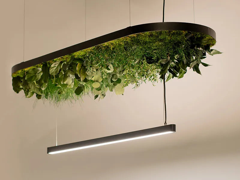 Greenmood Hoverlight Suspended Luminaire with Acoustic Panel