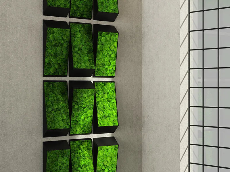 Greenmood Perspective Lines Acoustic Wall Fixtures