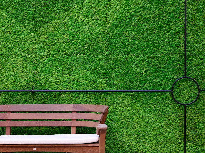 Greenmood Reindeer Moss (Lichen) Green Wall