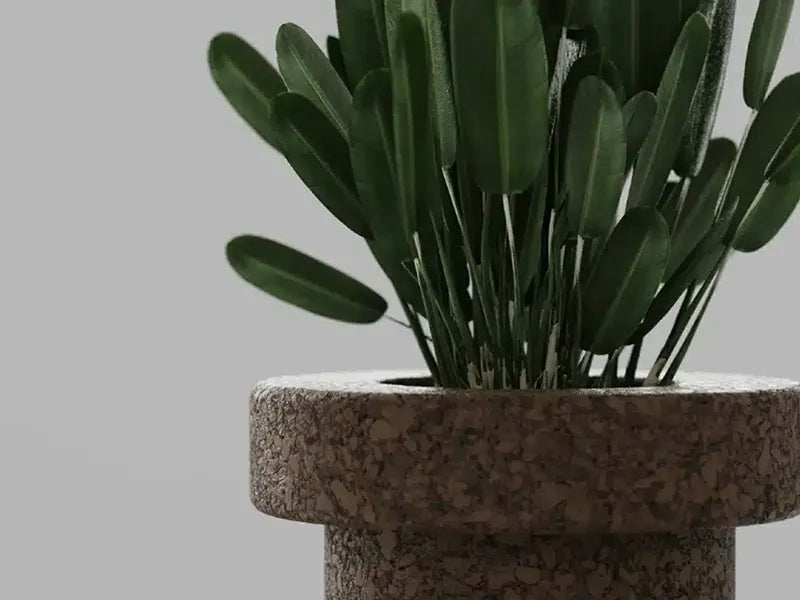 Greenmood Mario Geometric Expanded Cork Planter