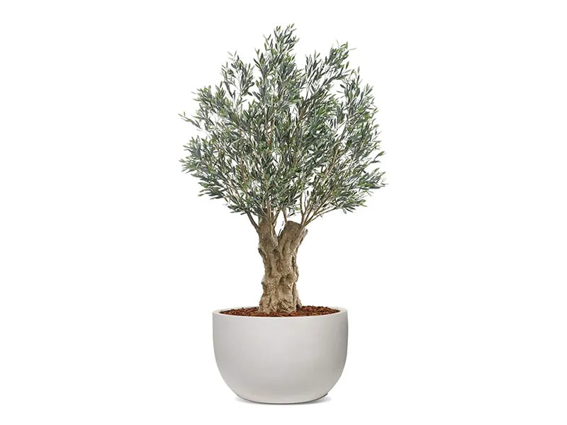 Vistafolia® Olea Bella Artificial Mature Olive Tree